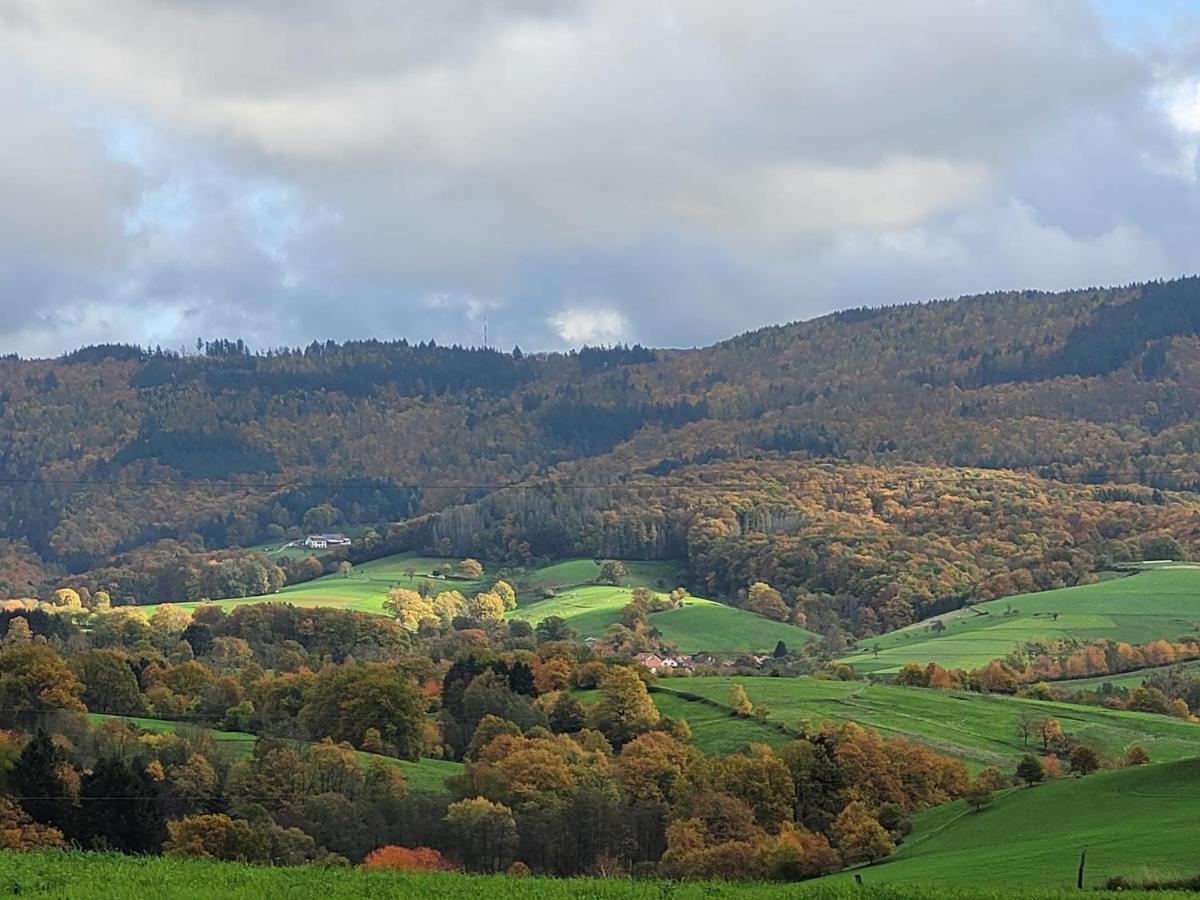Ferienhaus Auf Dem Lusitanohof Jaeger Furth  Buitenkant foto